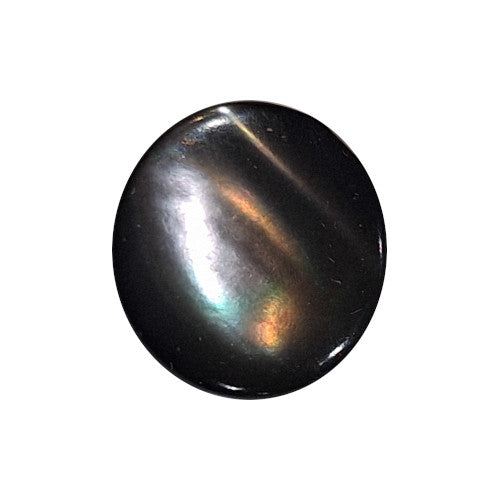 Front view of smoke grey Troca shell button with natural nacre reflection, self-shank, 14mm.