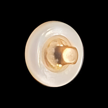 Back view of a troca shell button showing the metal shank attachment and natural shell contours.