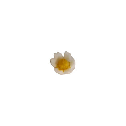 Hand-painted plastic flat back daisy with white petals and yellow center, 6mm.