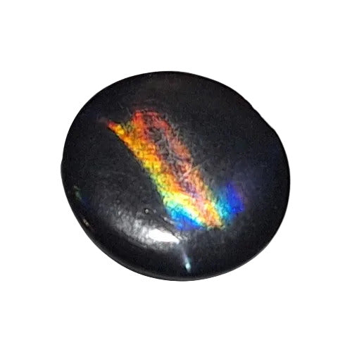 Front view of smoke Troca shell button with strong rainbow nacre reflection, self-shank, 15mm.