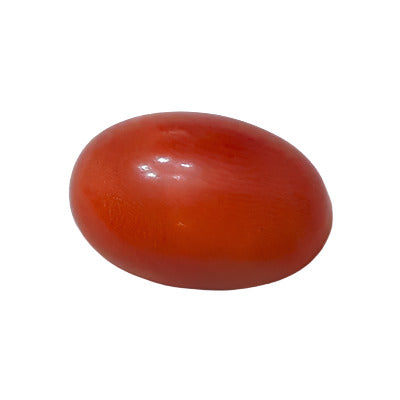 Vintage coral plastic cabochon with a smooth domed surface and flat back in 12×18 mm.