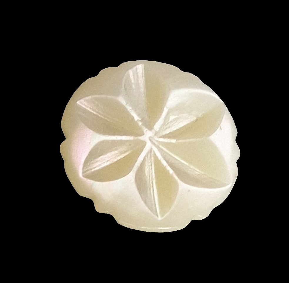 Front view of a carved shell button showing a six-point star motif cut into the iridescent surface, centered on a black background.