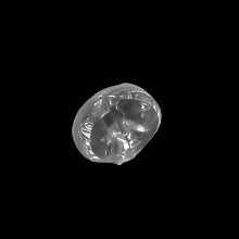 Oval convex mirrored glass button with silvered back and channel shank, 8×10mm