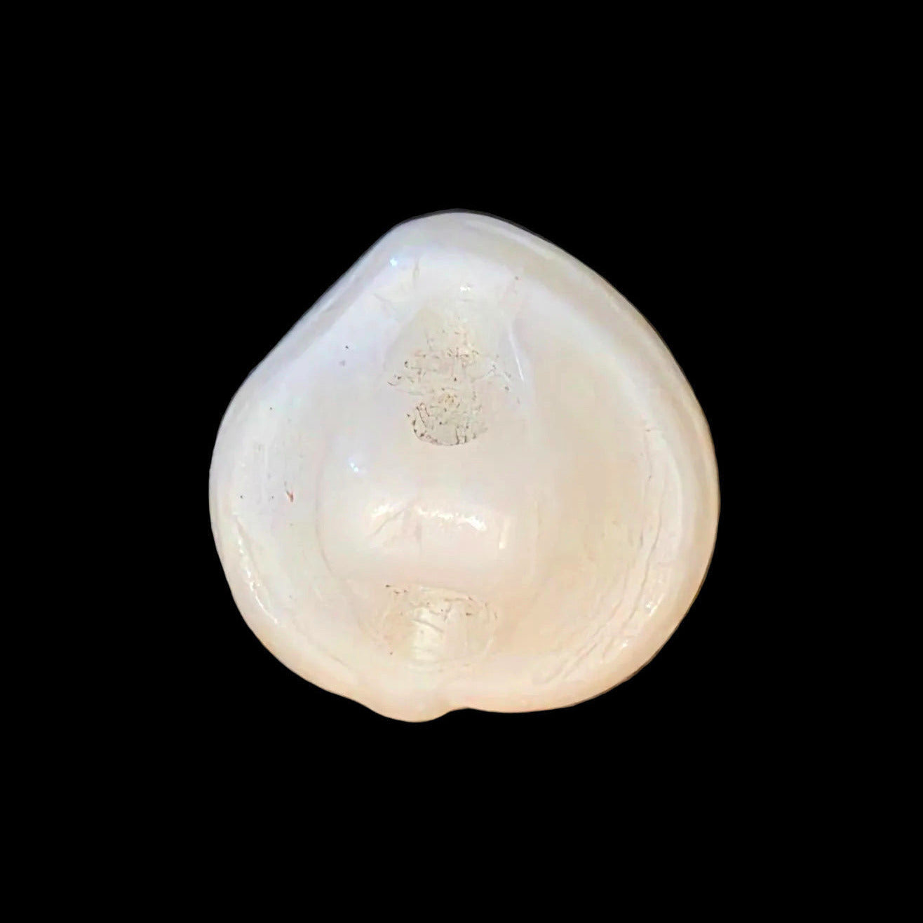 Back of white opaline glass leaf-shaped button.