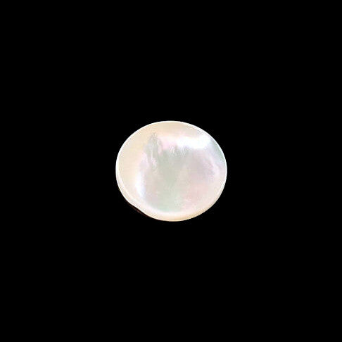 Troca shell button with self-shank and iridescent surface, centered on a black background.