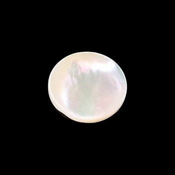 Troca shell button with self-shank and iridescent surface, centered on a black background.