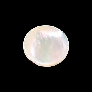 Troca shell button with self-shank and iridescent surface, centered on a black background.