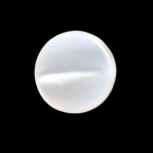 Front view of a white shell shank button with a smooth polished surface and natural shell variation on a textured black.