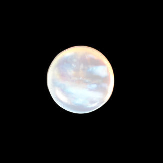 Front view of a mother-of-pearl shell button with a reflective iridescent surface, centered on a dark textured background.