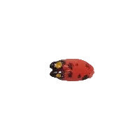 Hand-painted flat back of a tiny red ladybug with black dots and yellow eyes and an elongated body on a white background. Made in Japan