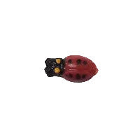 Hand-painted flat back of a tiny red ladybug with black dots and yellow eyes and an elongated body on a white background. Made in Korea