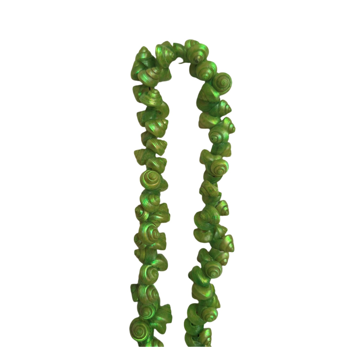 Chartreuse strung seashells with hand-punched holes and natural 1/4-inch shells shown on strand segment.