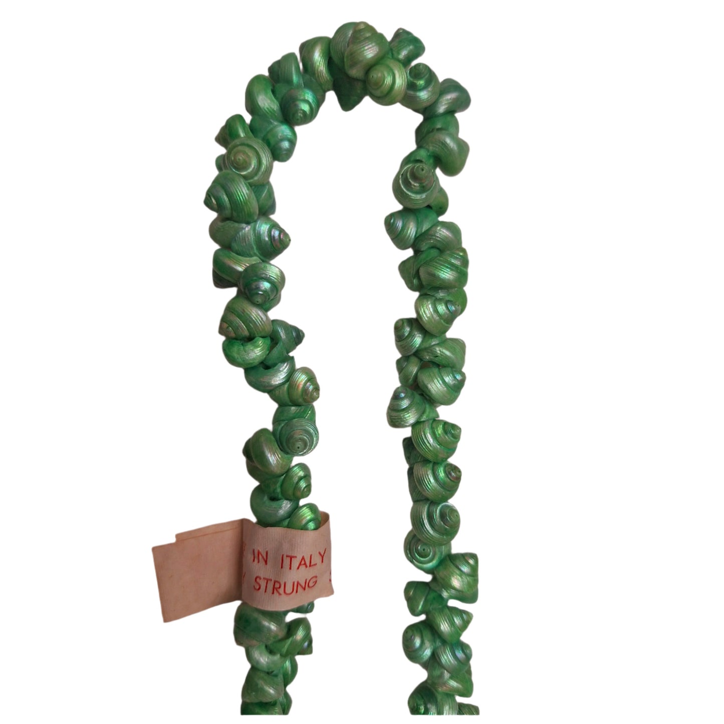 Green strung seashells with hand-punched holes and natural 1/4-inch shells shown on strand segment with made in Italy label attached.