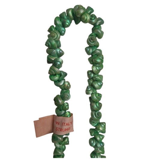 Green strung seashells with hand-punched holes and natural 1/4-inch shells shown on strand segment with made in Italy label attached.