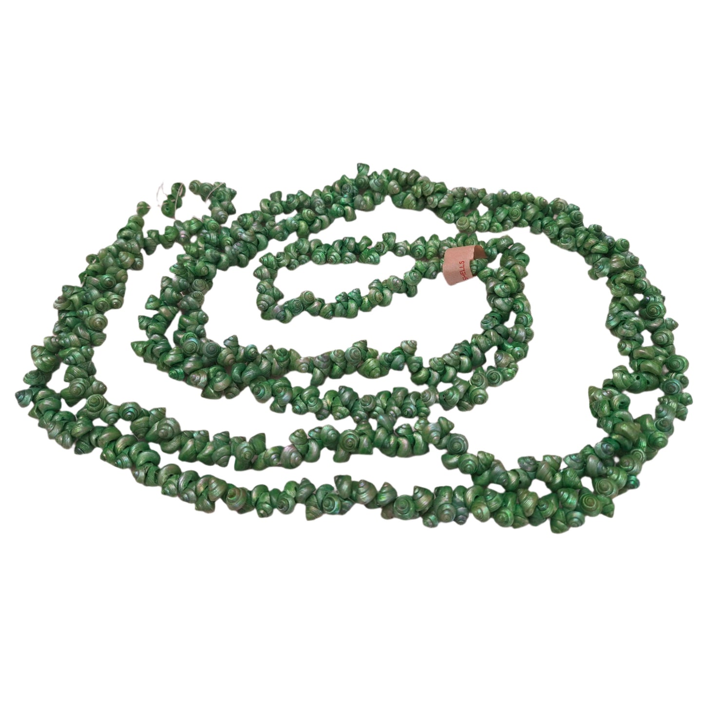 Green strung seashells with hand-punched holes and natural 1/4-inch shells shown on complete strand with made in Italy label attached.