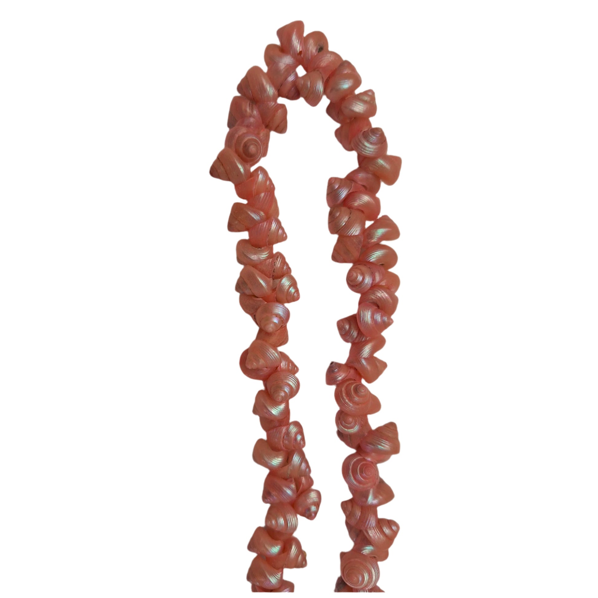 Light pink strung seashells with hand-punched holes and natural 1/4-inch shells shown on strand segment.