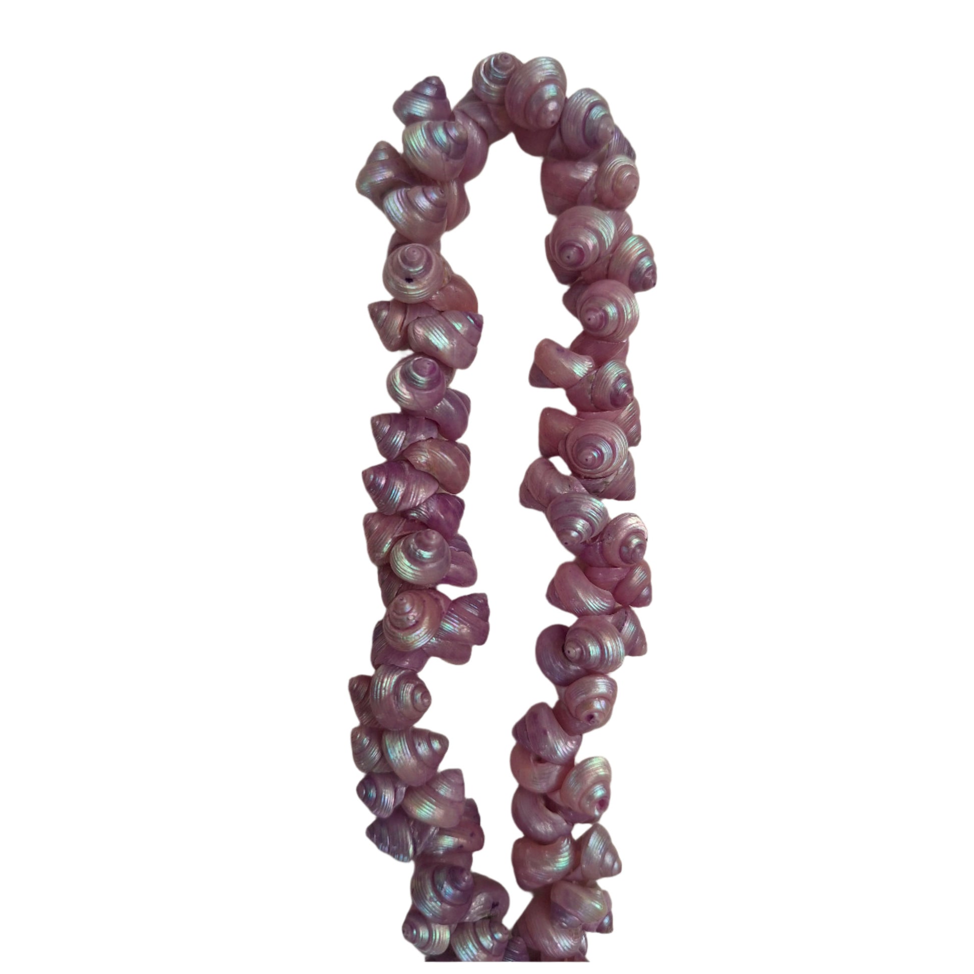 Lilac strung seashells with hand-punched holes and natural 1/4-inch shells shown on strand.