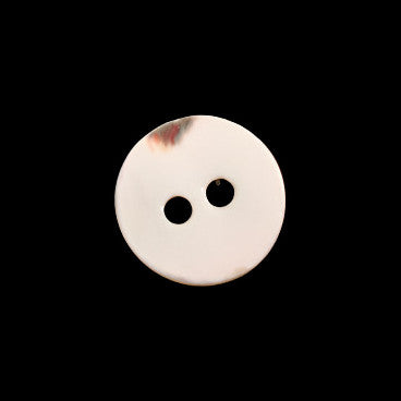 Reverse side of troca shell ring-cup two-hole button, showing natural shell backing and hole structure.