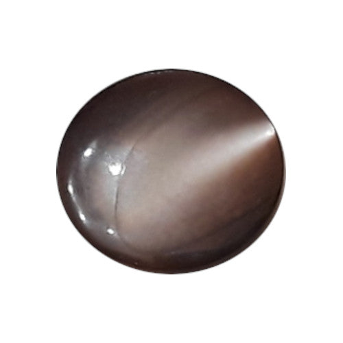 Front view of dyed violet brown Troca shell button with natural nacre reflection, self-shank, 15mm.