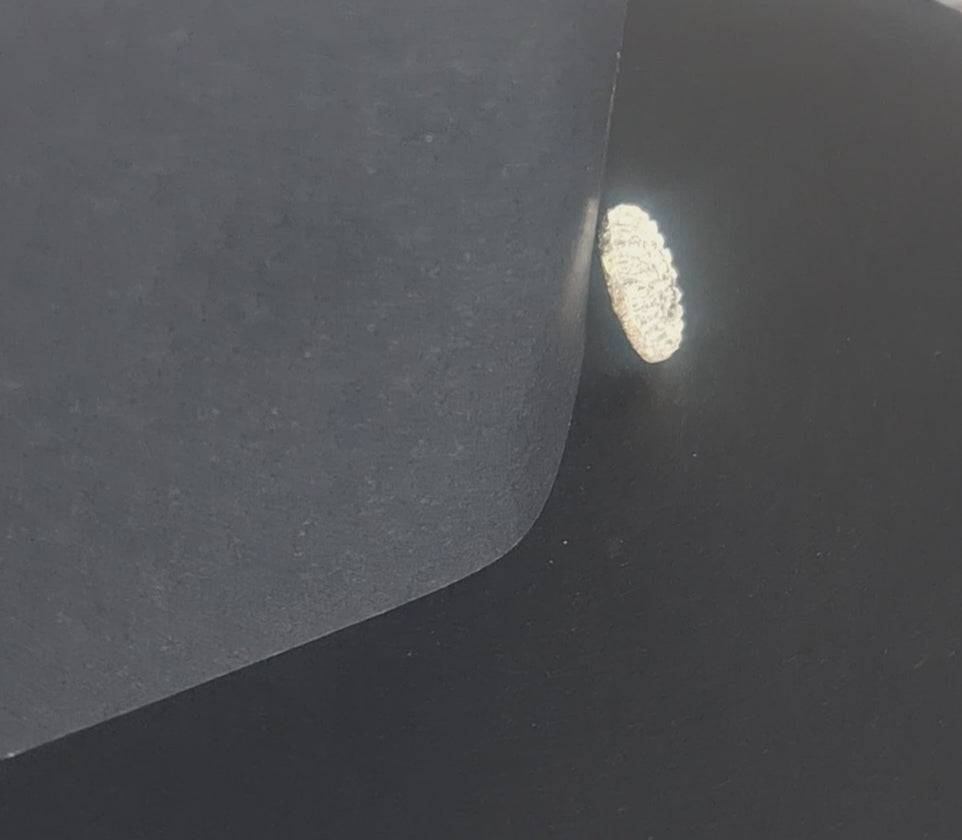 Mirrored glass button with a pebbled textured surface and two-hole sewing attachment, 19mm, shown in video with light movement to display the mirrored finish.