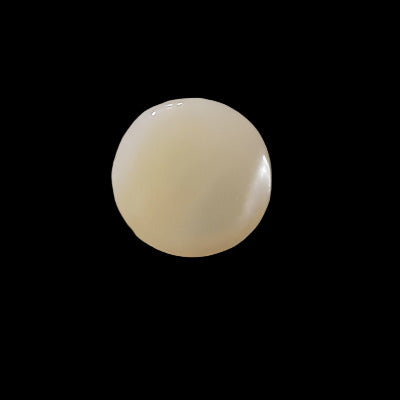 Front view of a troca shell button showing its smooth polished surface on a black background.
